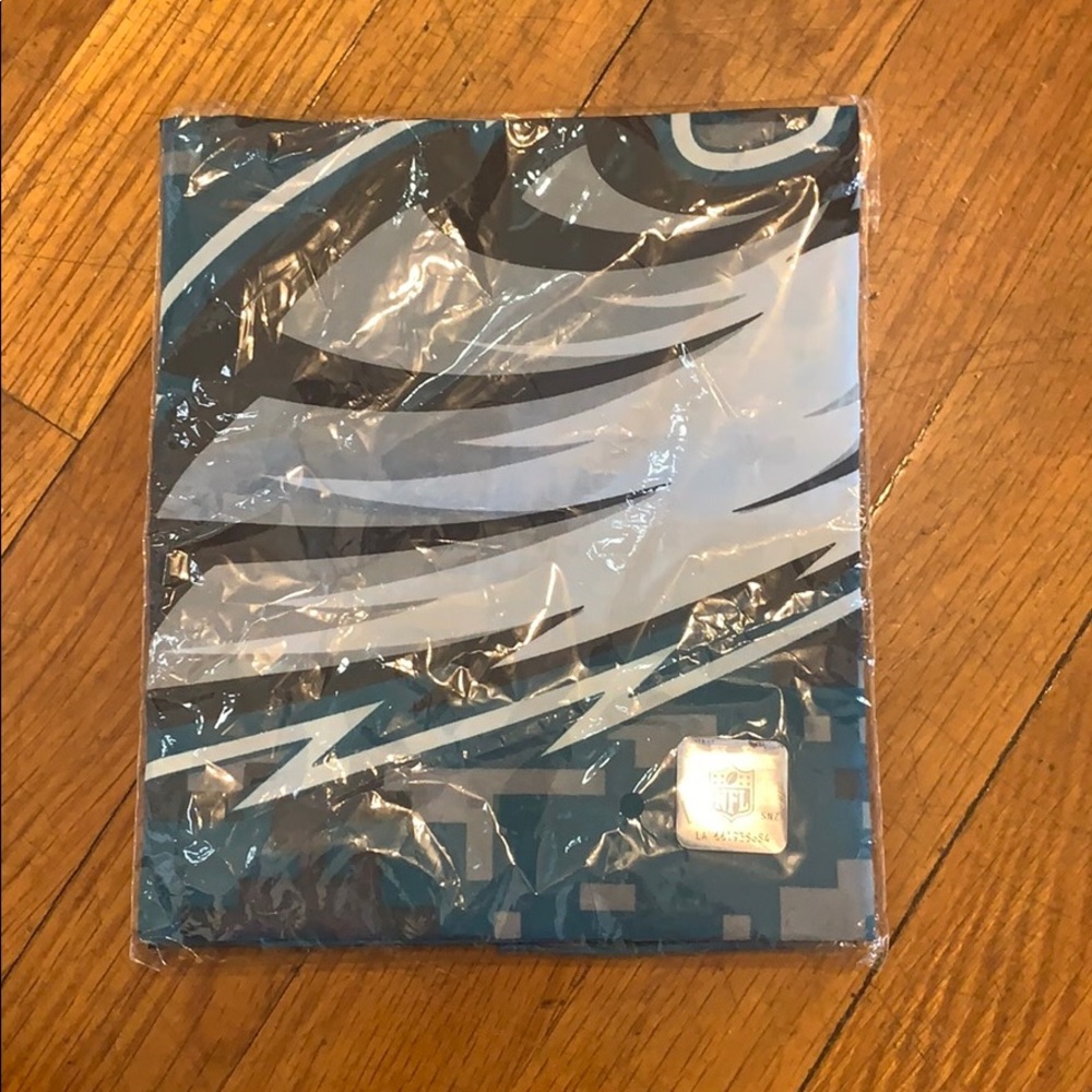 Philly Eagles flag